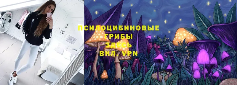 Псилоцибиновые грибы Magic Shrooms  Губаха 